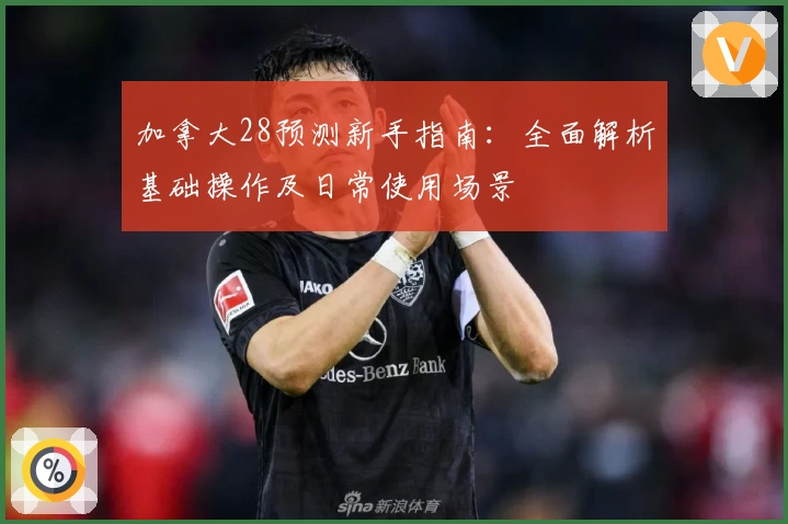 加拿大28预测新手指南：全面解析基础操作及日常使用场景