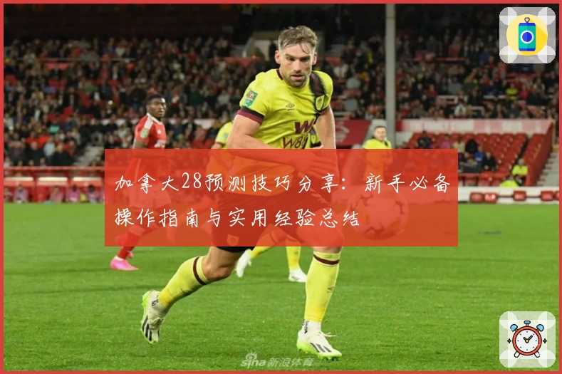 加拿大28预测技巧分享：新手必备操作指南与实用经验总结