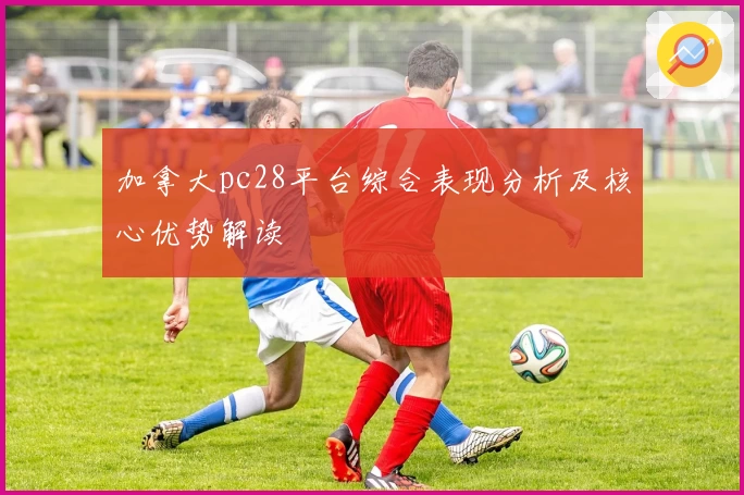 加拿大pc28平台综合表现分析及核心优势解读