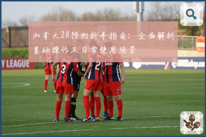 加拿大28预测新手指南：全面解析基础操作及日常使用场景