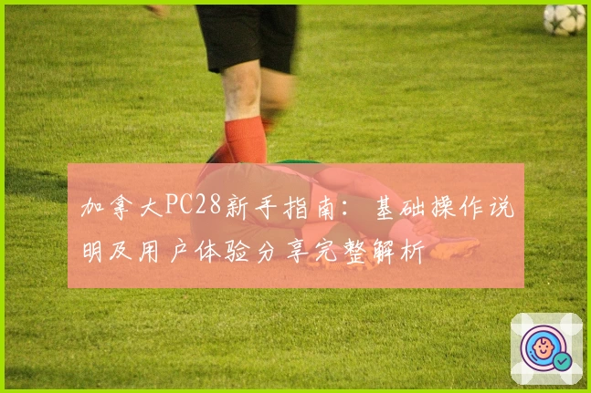 加拿大PC28新手指南：基础操作说明及用户体验分享完整解析