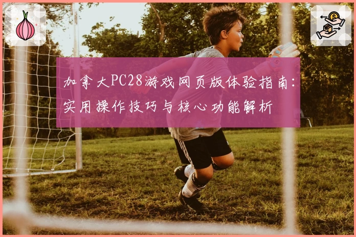 加拿大PC28游戏网页版体验指南：实用操作技巧与核心功能解析