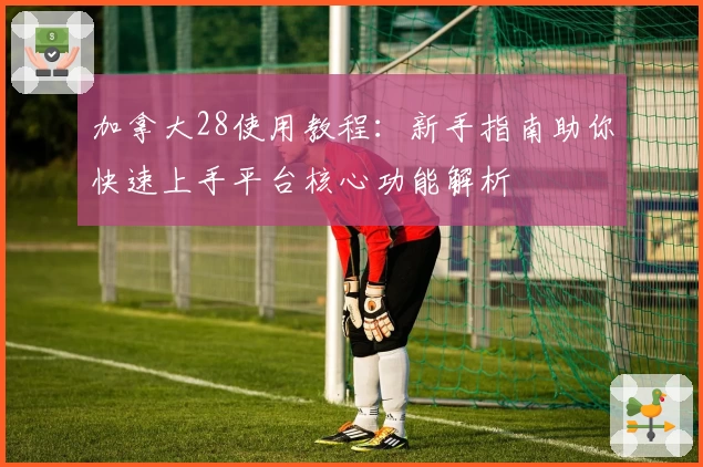 加拿大28使用教程：新手指南助你快速上手平台核心功能解析