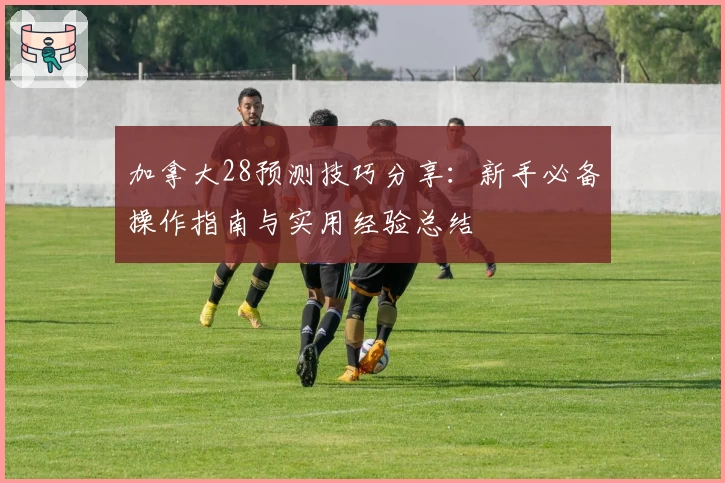 加拿大28预测技巧分享：新手必备操作指南与实用经验总结