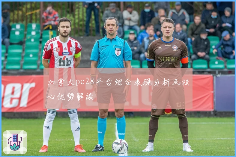 加拿大pc28平台综合表现分析及核心优势解读