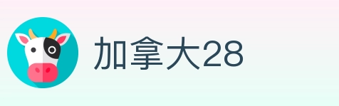 加拿大28 Logo